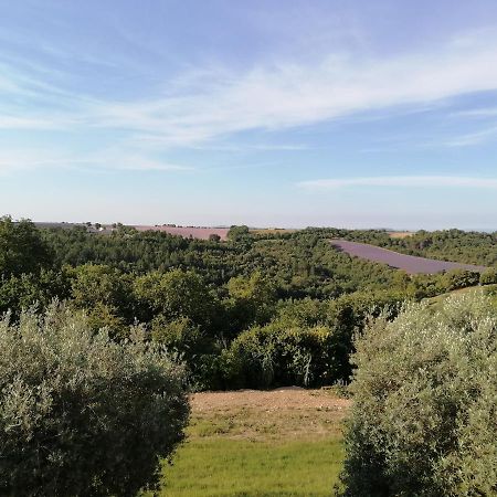 Gites Lou Limbert Plateau De Valensole Bagian luar foto